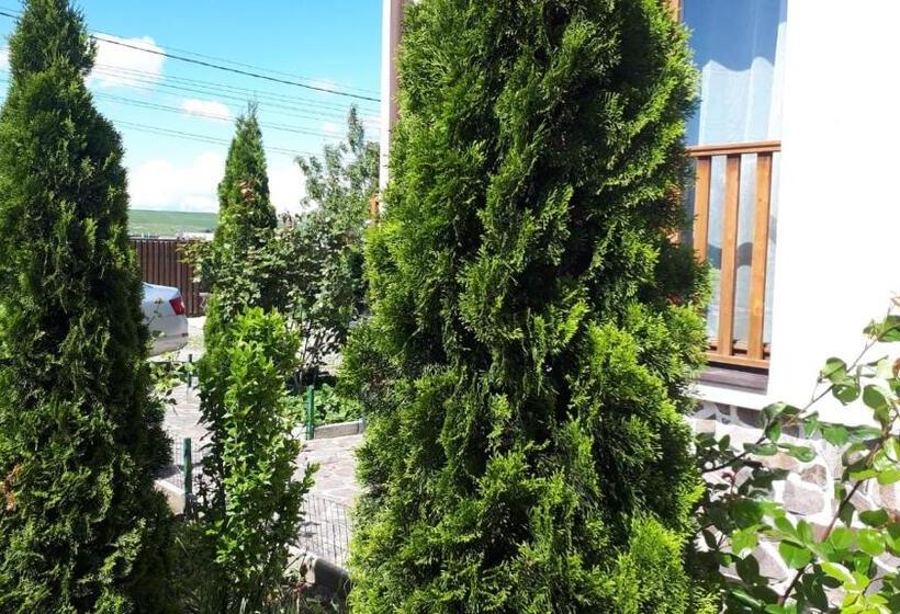 Пансион Casa Paduricea