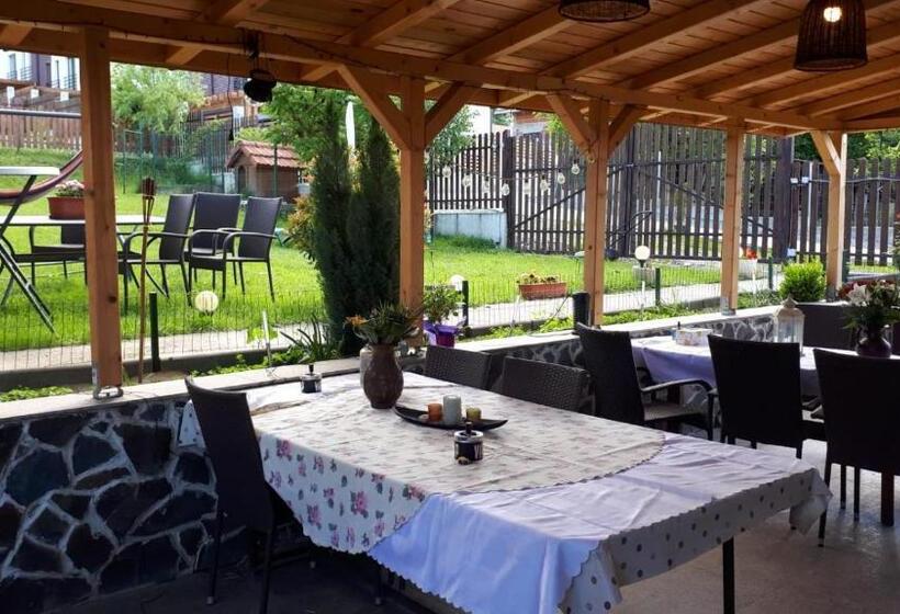 Пансион Casa Paduricea