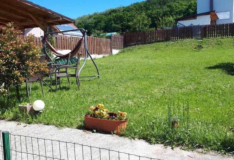 Пансион Casa Paduricea