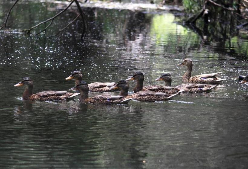 膳宿费 Casa Victoria