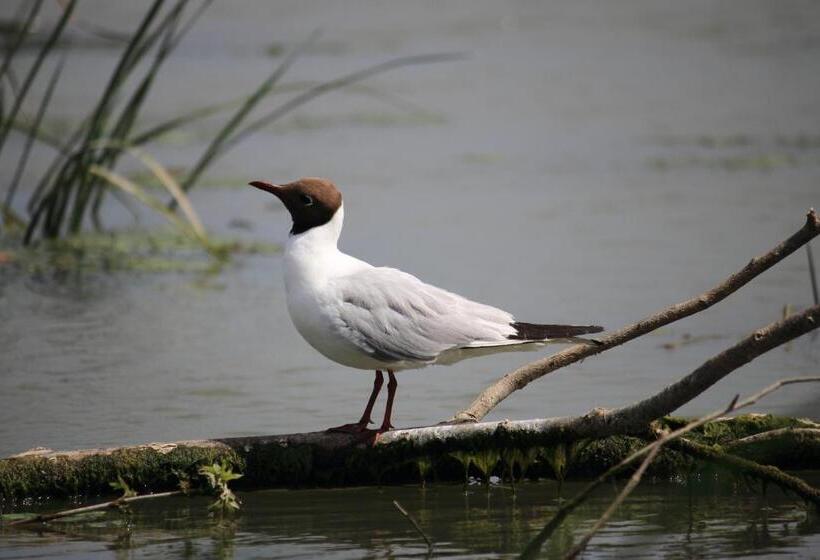 펜션 Casa Victoria