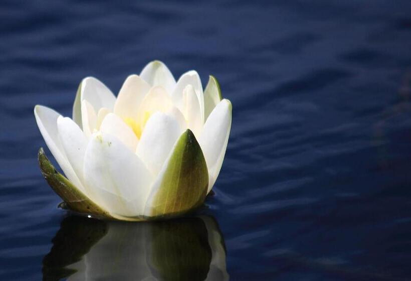 펜션 Casa Victoria