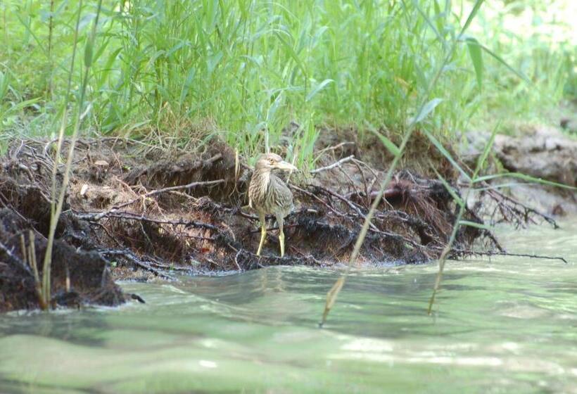 펜션 Casa Victoria