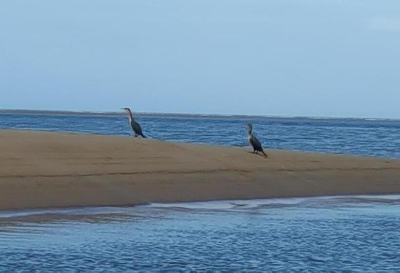 פנסיון Chez Eric