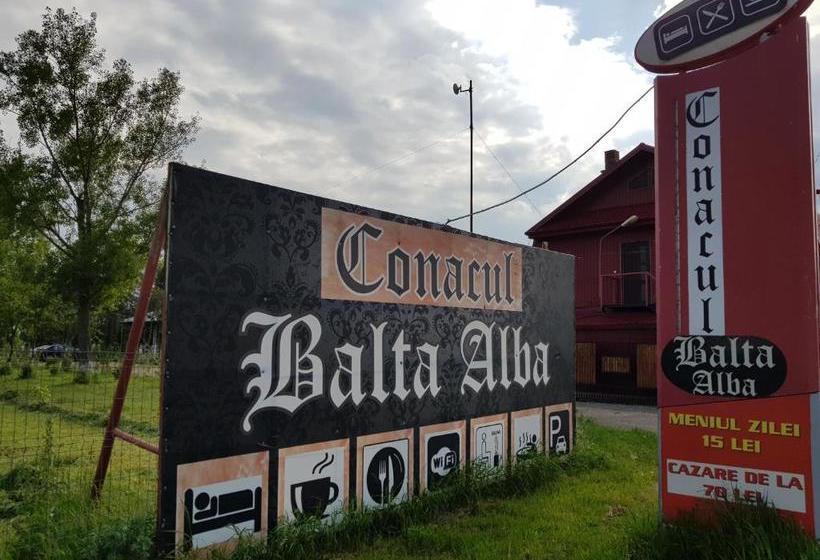 بنسيون Conacul Balta Alba