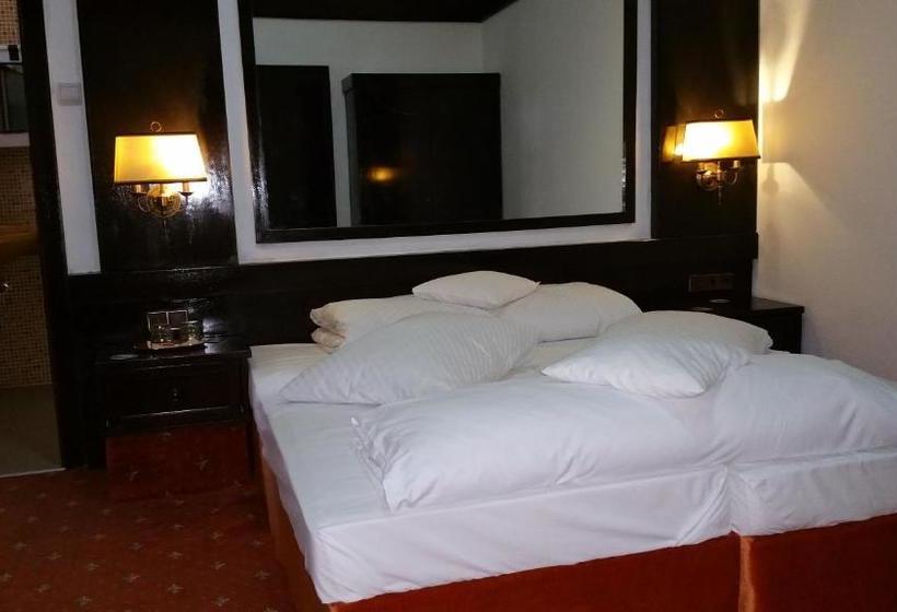 بنسيون Conacul Balta Alba