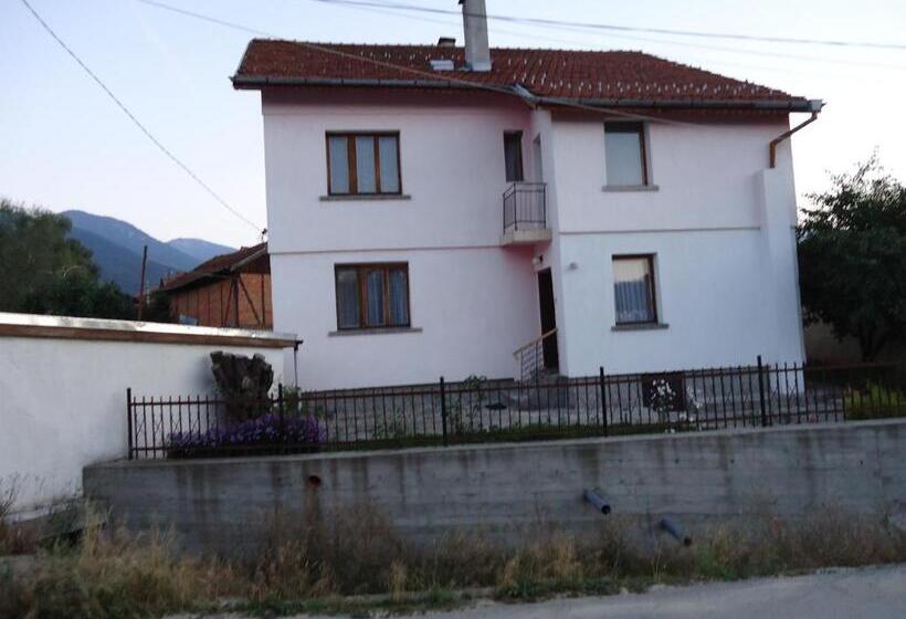 بنسيون Guest House Ahp