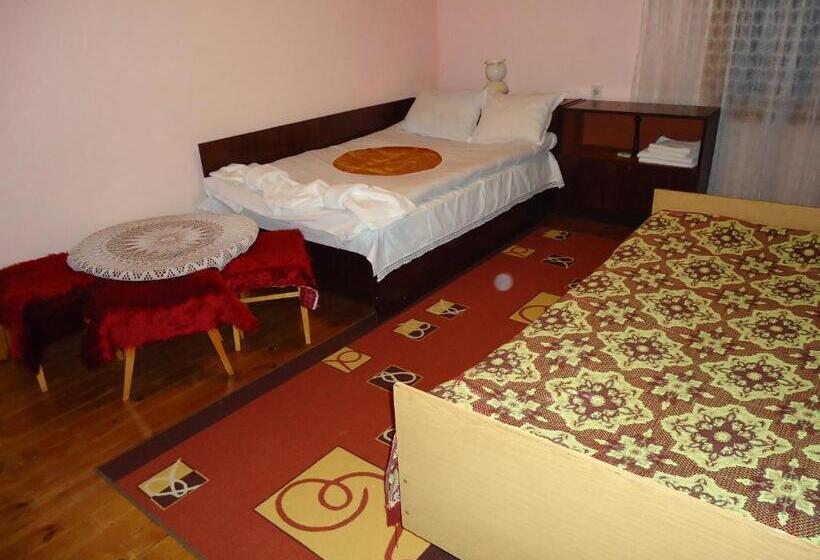 بنسيون Guest House Ahp