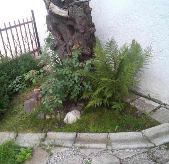 بنسيون Guest House Ahp