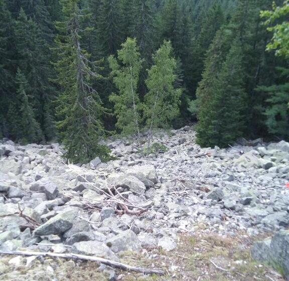 بنسيون Guest House Ahp