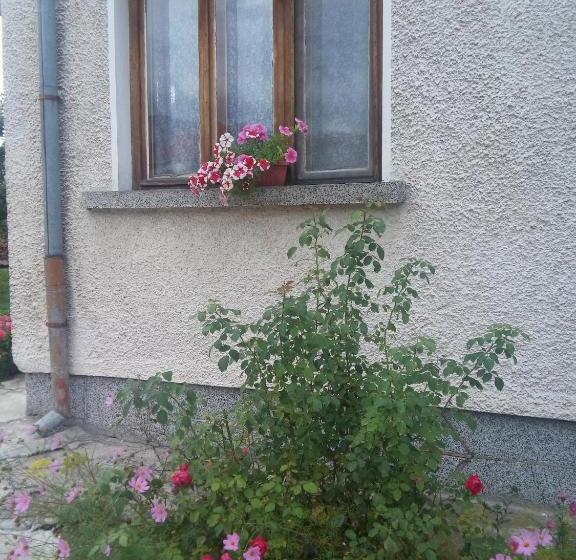 بنسيون Guest House Ahp