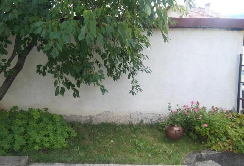 بنسيون Guest House Ahp