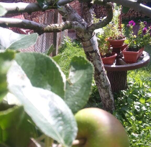 بنسيون Guest House Ahp