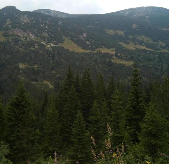 بنسيون Guest House Ahp