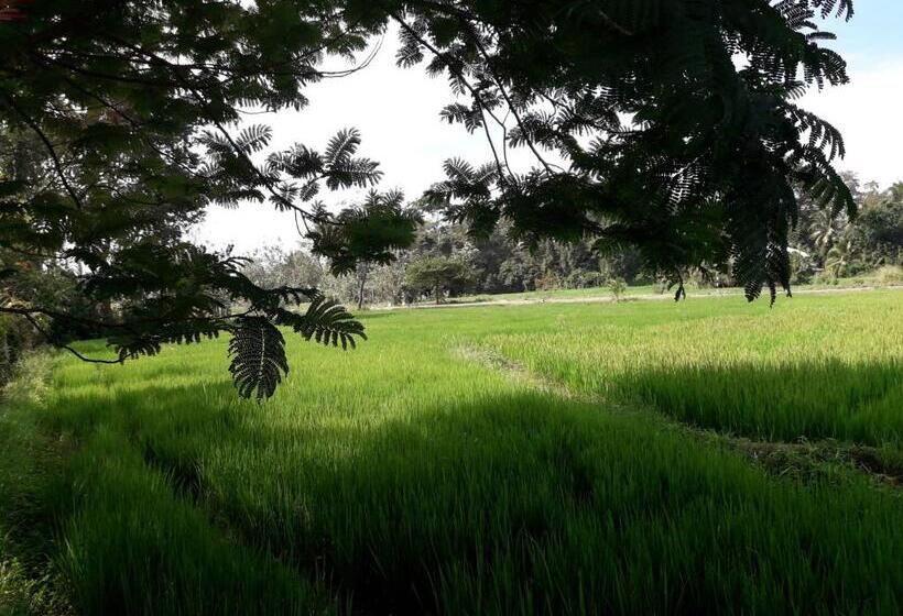 بنسيون Hansika Guest Inn