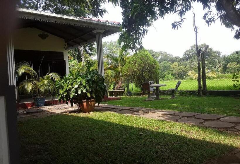 بنسيون Hansika Guest Inn