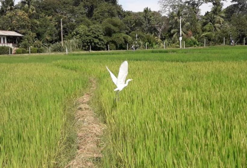 بنسيون Hansika Guest Inn