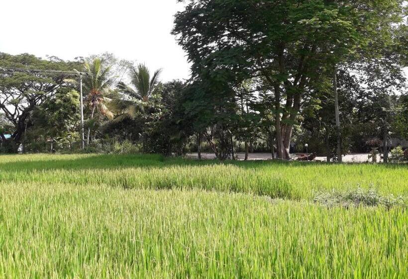 بنسيون Hansika Guest Inn