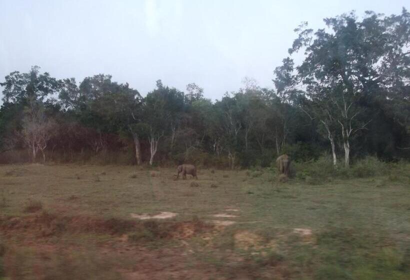 بنسيون Hansika Guest Inn