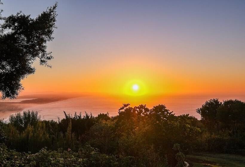 بنسيون Hilltop Boutique