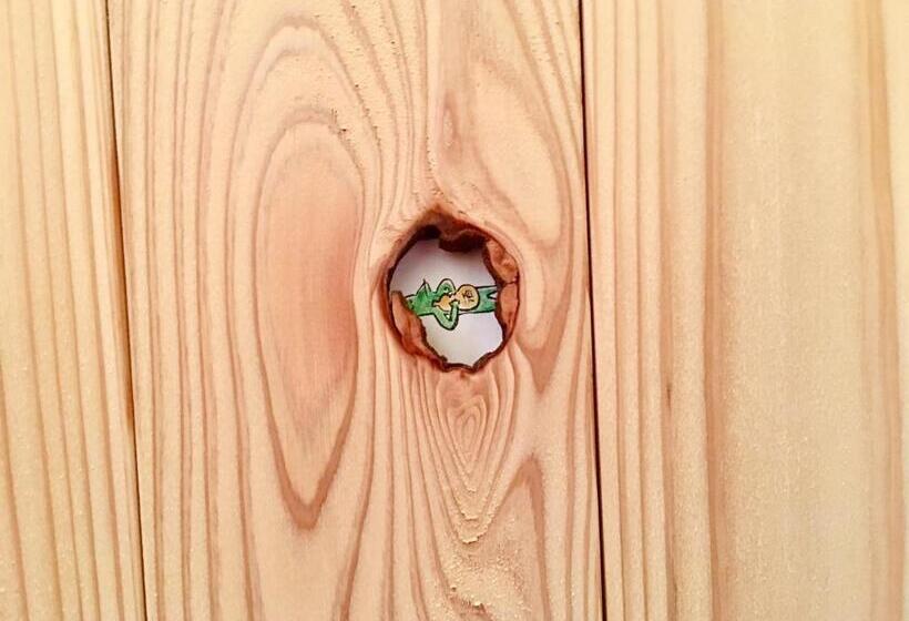 بنسيون Kappa Backpackers