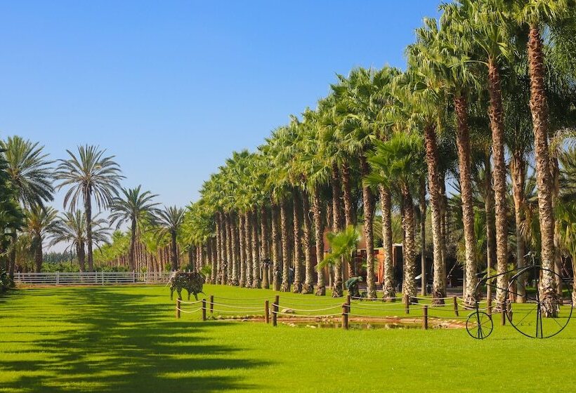 پانسیون Le Domaine Limoune