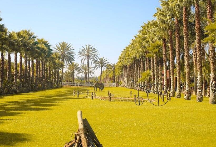 پانسیون Le Domaine Limoune