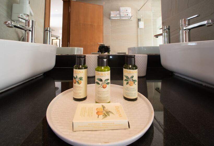 پانسیون Le Domaine Limoune