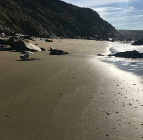 بنسيون Manor Lodge Guesthouse