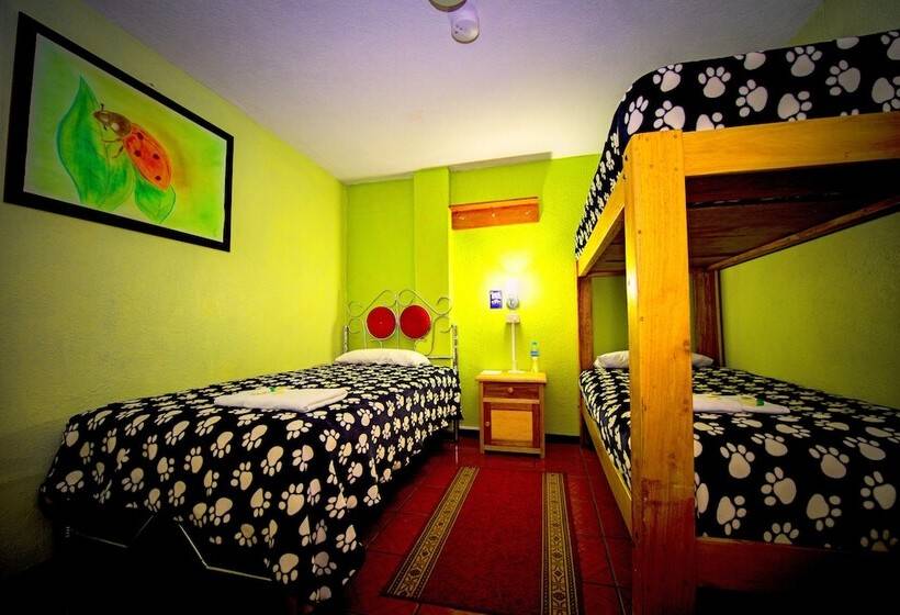 بنسيون Mirador Oro Verde Quilotoa