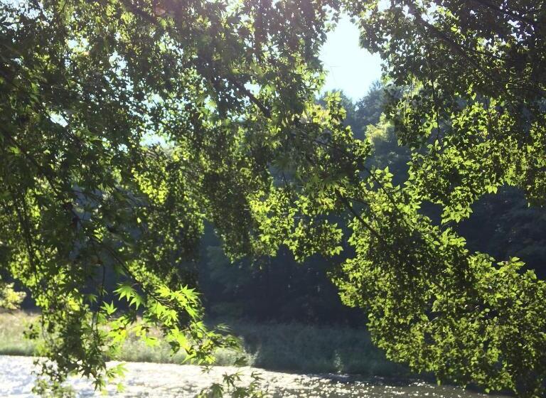 פנסיון Otsu Nature Garden