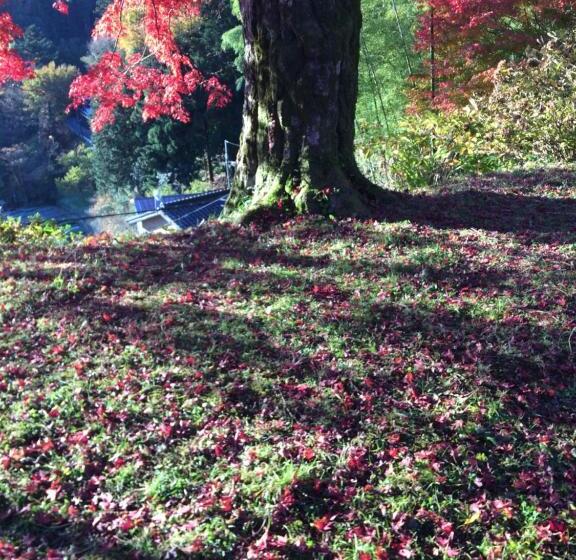 פנסיון Otsu Nature Garden
