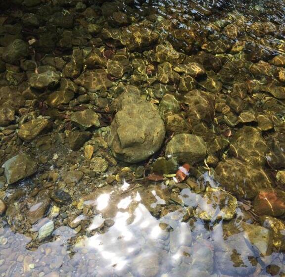 פנסיון Otsu Nature Garden