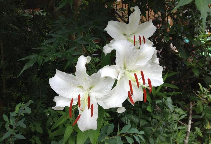 פנסיון Otsu Nature Garden