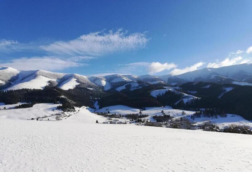 膳宿费 Penzión Baltazár