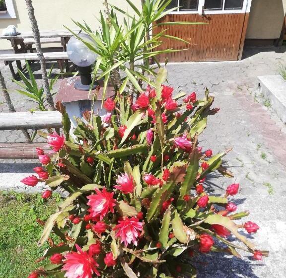 פנסיון Penzión Baltazár