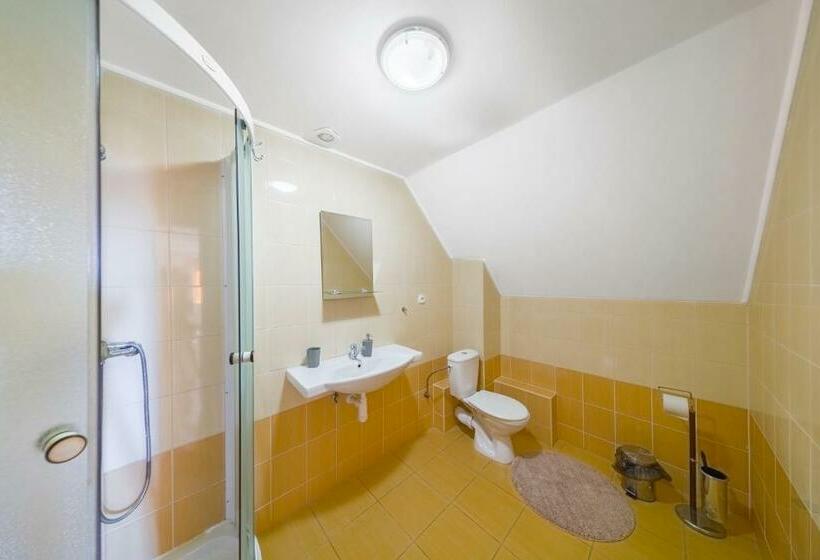 פנסיון Penzión Gróf