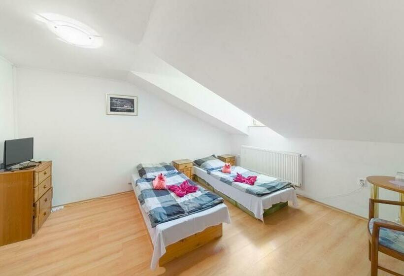 פנסיון Penzión Gróf