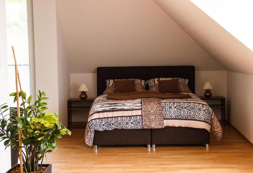 פנסיון Penzion Conti