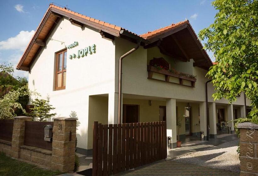 Пансион Penzion Jople
