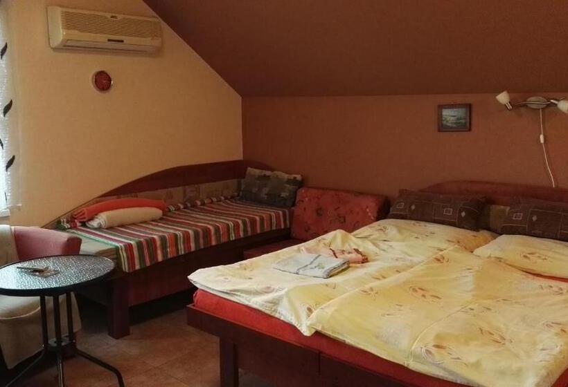 Пансион Penzion Termál