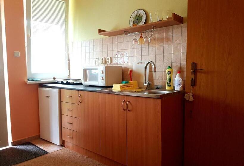 Пансион Penzion Termál