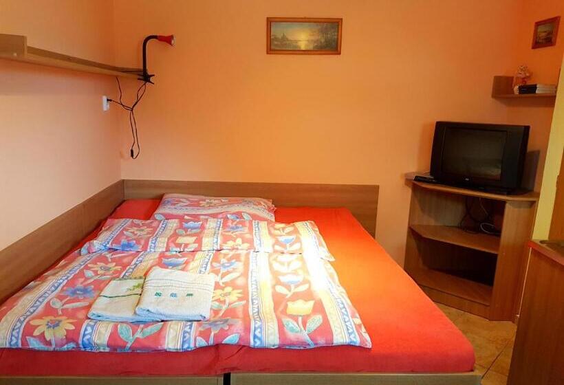 Пансион Penzion Termál