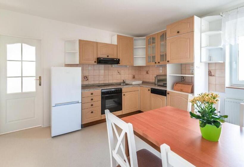 膳宿费 Penzion V údolí