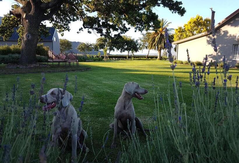 بنسيون Picardiplace