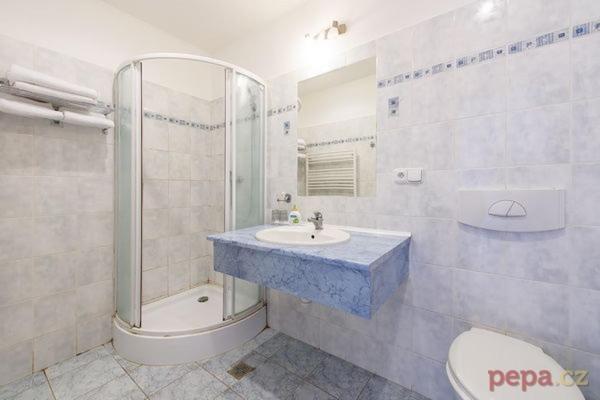 פנסיון Restaurace A Penzion U Palečků