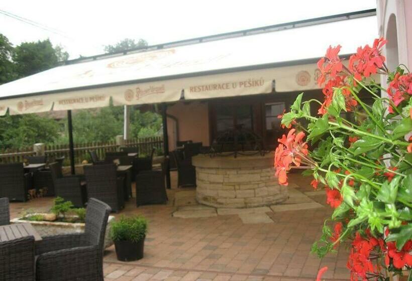 膳宿费 Penzion U Pešíků