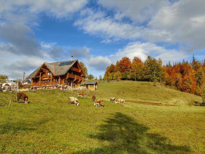 Pensiunea Rustic Ghetar