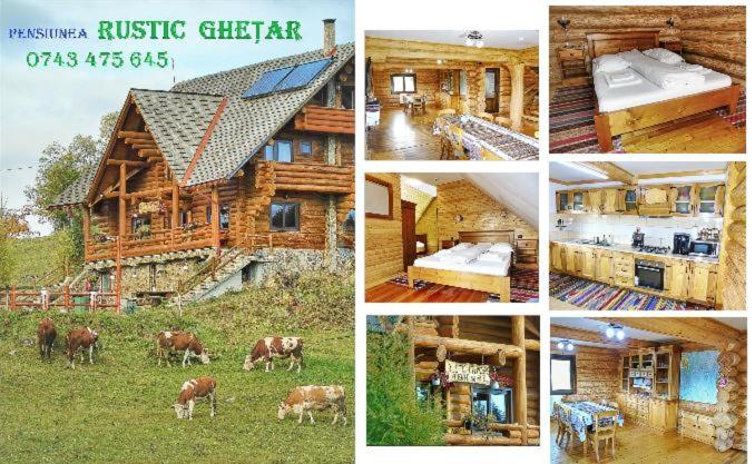 Pensiunea Rustic Ghetar