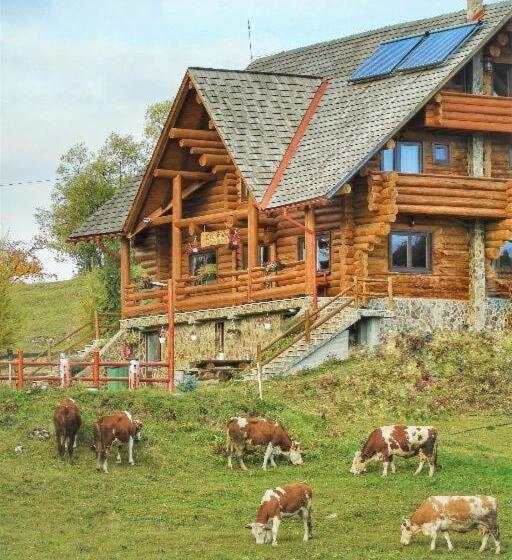 Pensiunea Rustic Ghetar